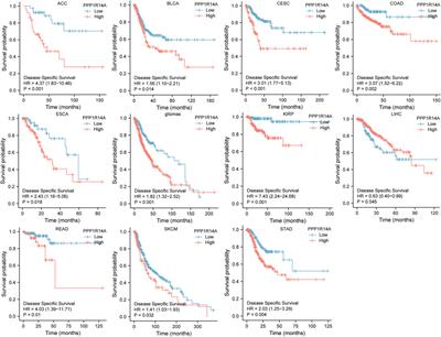 Prognostic and Immunological Role of PPP1R14A as a Pan-Cancer Analysis Candidate